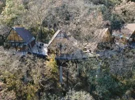 Cabaña Gokotta, Punta del Bosque