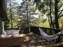 Larkspire I Sleepy Hollow Lake I Beach & Firepit