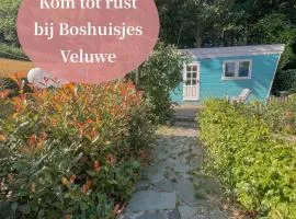 Uniek boshuisje Olijfje met omheinde tuin op loopafstand Veluwse bos