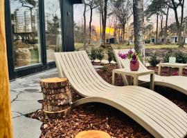 Luxe wellness cabin Japandi stijl met bosuitzicht en hottub Boshuisje Nero, hotel di Haarle