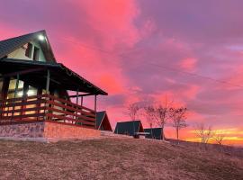 La Nuci, hotel u gradu Valea scheilor