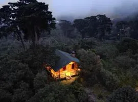 Entrecafe Experience