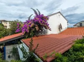 House Zeljko