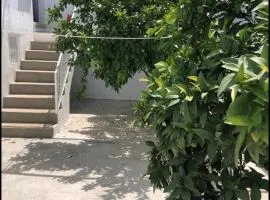 Vivienda San Francisco