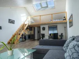 Muota River Loft & Muota Industry Apartment near Stoos