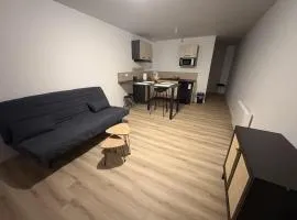 LONI EXPERIENCES - Indus