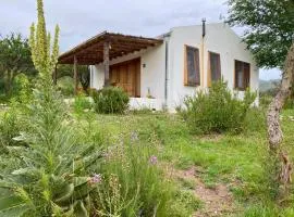 Estación Tachyon Timalu