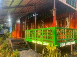 Playa Verde Lodge
