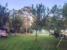 Fantasias de Corcovado