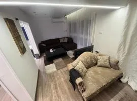 Miami beach Alexandria