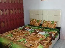 K77 Backpackers - Jungle Tours