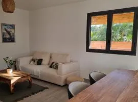 Villa calme dans le Sud Sauvage - FR-1-786-91