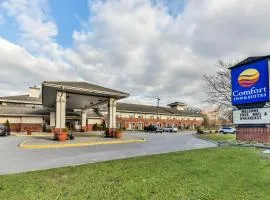 Comfort Inn & Suites Ambassador Bridge