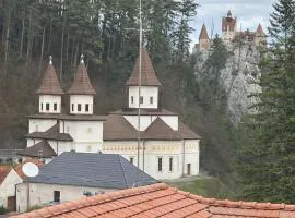 Pensiunea Carina