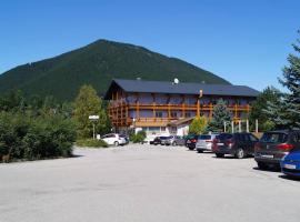 Hotel Paradiesquelle Schneeberg, hotel v destinaci Puchberg am Schneeberg