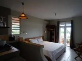 Ocean View Guesthouse in Tamarin, Pool, Sunset