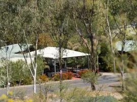 4 hotel in Alice Springs