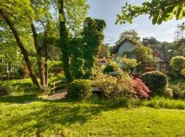 Dom pod lesom v Borinke