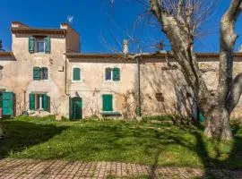 Véritable Mas Provençal À La Palud