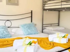 Cà 4 nevodi Noah by Ca-Sa Check