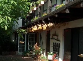 Hotel garni & Oma's Heuhotel 'Pension zur Galerie'