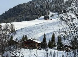 Hôtel Chalet Alpage