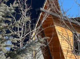 Wooden House