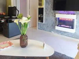 Jimvila2family apartment wi-fi 500 we accept dogs