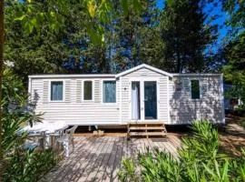 Mobil-home spacieux 8 personnes à Montblanc - API-1-52-1214