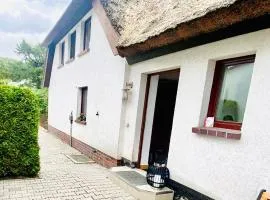 KAPITÄNS HUS 1- nur 550m zum Strand, mit Infrarotsauna, großer Garten, Kamin, Whirlpool