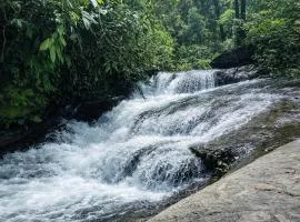 Adis Home - Private Villa With Private Stream in Kalasa