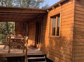 Chalet avec terrasse - 5 pers. - API-1-52-1998