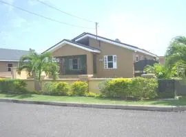 Welcome to Paradise Home 2
