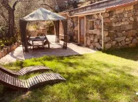 Caseddu N 1 entre Mer et l'ombre des Oliviers