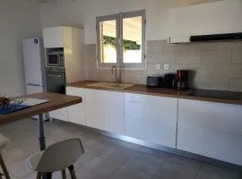 L'Aurielle maison spacieuse proche de la plage