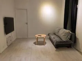 New renovated and painted apartment Central in Oslo