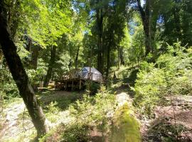 Glamping Pucón, hotell i Pucón