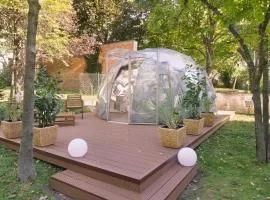 Urban Glamping Tent Vienna