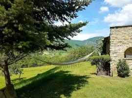 Campagne en Haute Provence