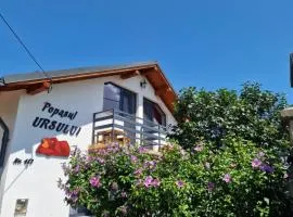 Popasul Ursului Zărnești