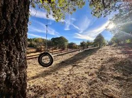 Pardes Lael Orchard & Fishing Retreat- Walk to Town