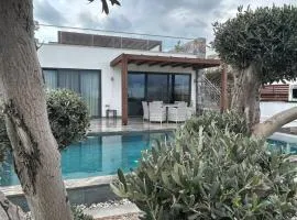 Bungalow med privat saltvannsbasseng på Dejablue