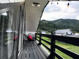 Medved House будинок Верховина