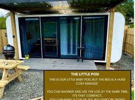 The little pod - Forest view, Hotel in Ballynameen