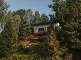 Aleksandria nad Olzą