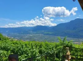 Voldersberghof Lagrein