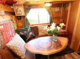 Old Rosie, By House of Pause