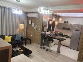 Luxurious one bedroom apartment