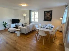 Special TOP LUX 32 Apartment, Altstadt Kleinbasel 10-STAR