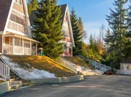 Freeman-4a апартамент з кухнею, терасою, грилем - на увесь перший поверх котеджу 4місний